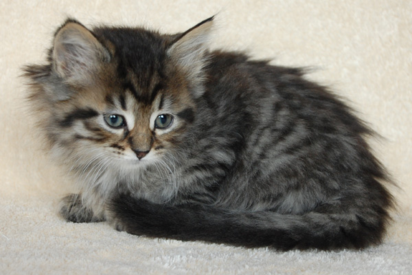 Pauline 7 Wochen.jpg